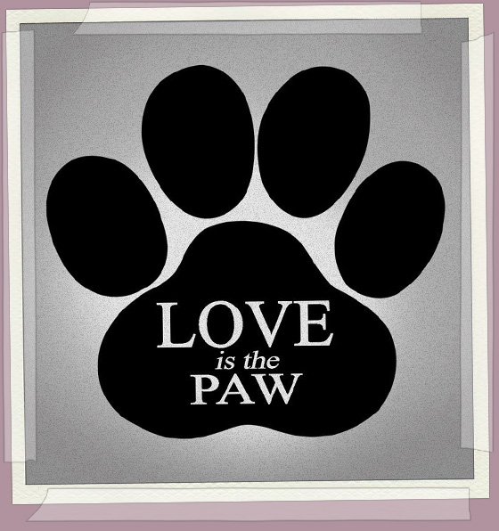 LoveIsThePAW