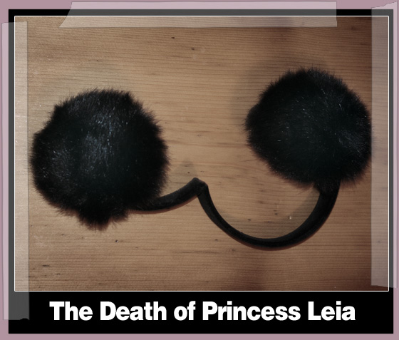 TheDeathOfPrincessLeia