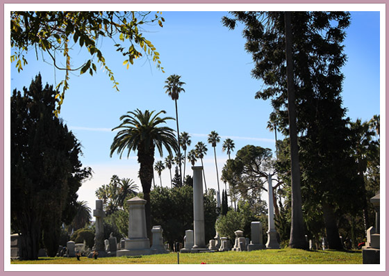 Tombstones_under_palmtrees