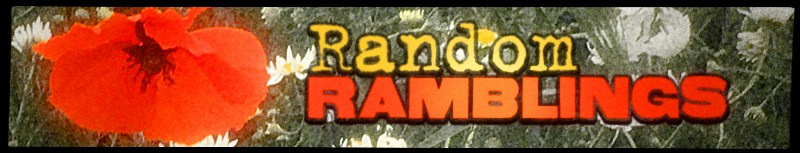 RandomRamblings_blog-banner